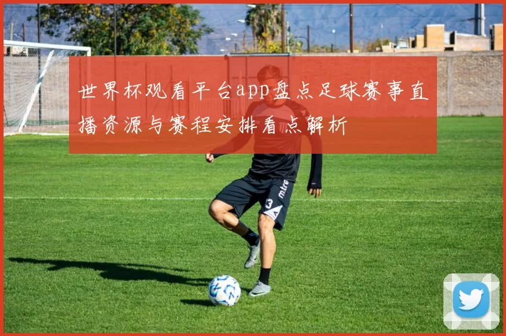 世界杯观看平台app盘点足球赛事直播资源与赛程安排看点解析