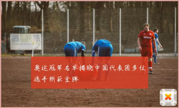 奥运冠军名单揭晓中国代表团多位选手斩获金牌